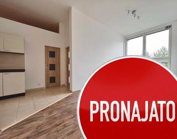 Pronájem bytu 2+kk 54 m2 nám. 8. května, Meziboří